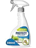 Gerobug Mottenspray 500 ml Protect - Einfache Mottenbekämpfung für Lebensmittelmotten & Kleidermotten - Mottenschutz für Kleiderschrank, Schrank, Wohnung, Kleider, Teppich & Küche geeignet