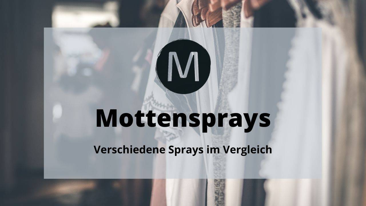 mottenspray artikel bild