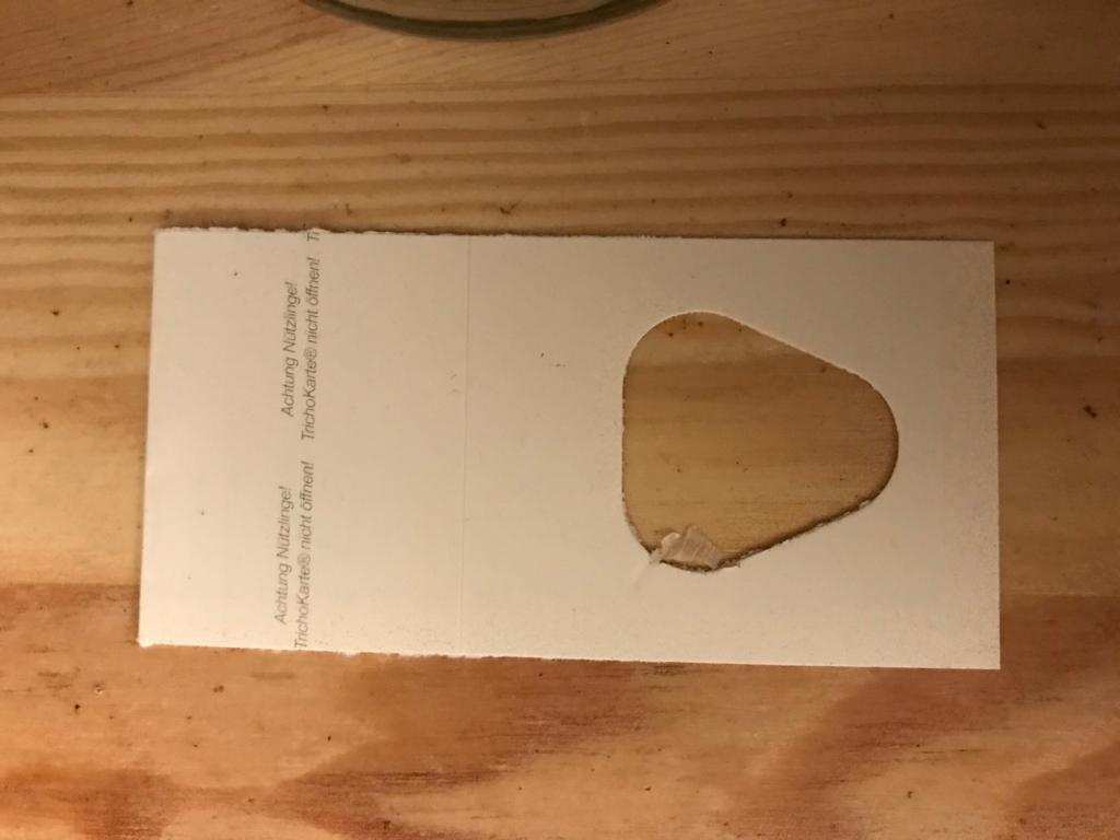 Schlupfwespen Karte / Trichokarte