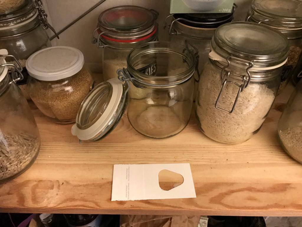 Lebensmittelmotten natürlich bekämpfen mit Schlupfwespen / Trichokarte